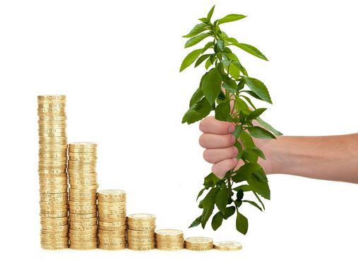 岱山垫资公司——为您解决资金难题的得力助手